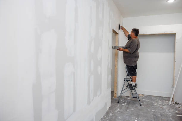 Best Mold Prevention Services  in Iowa, LA